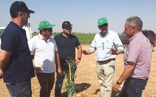 Asesoramiento Técnico Agrícola Ciudad Real