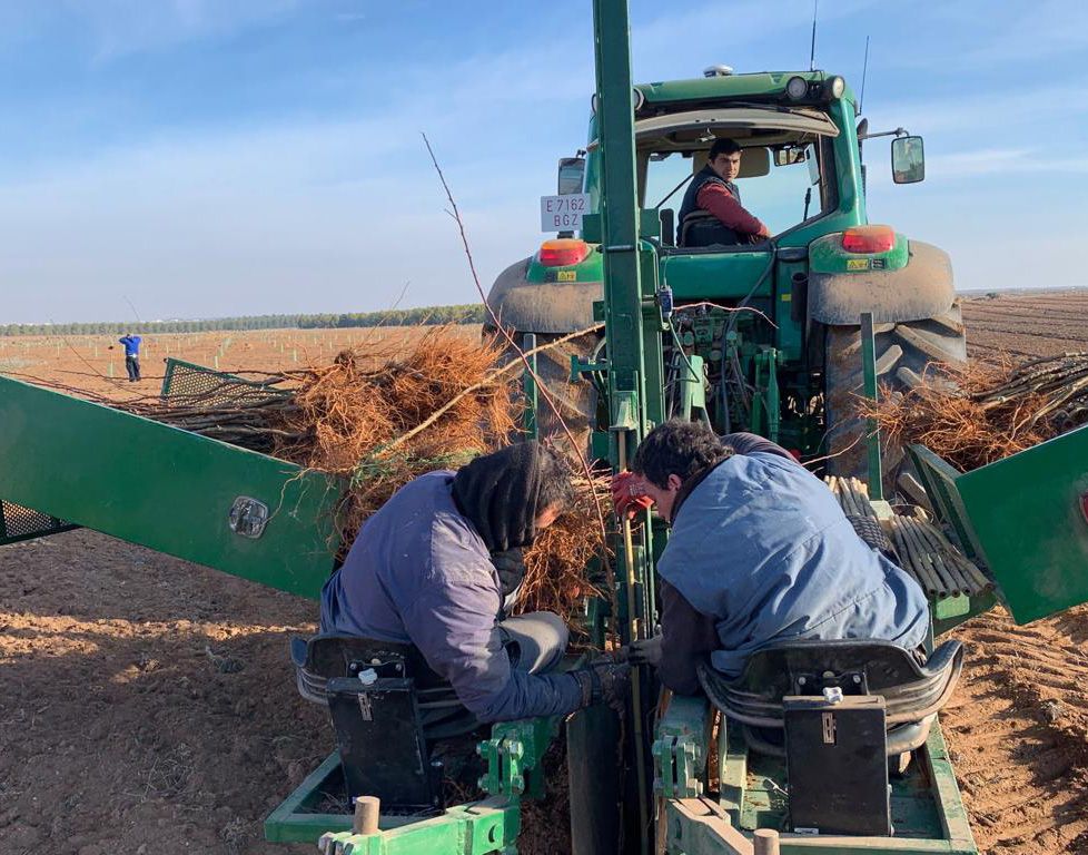 Servicios Agrícolas en Castilla La Mancha