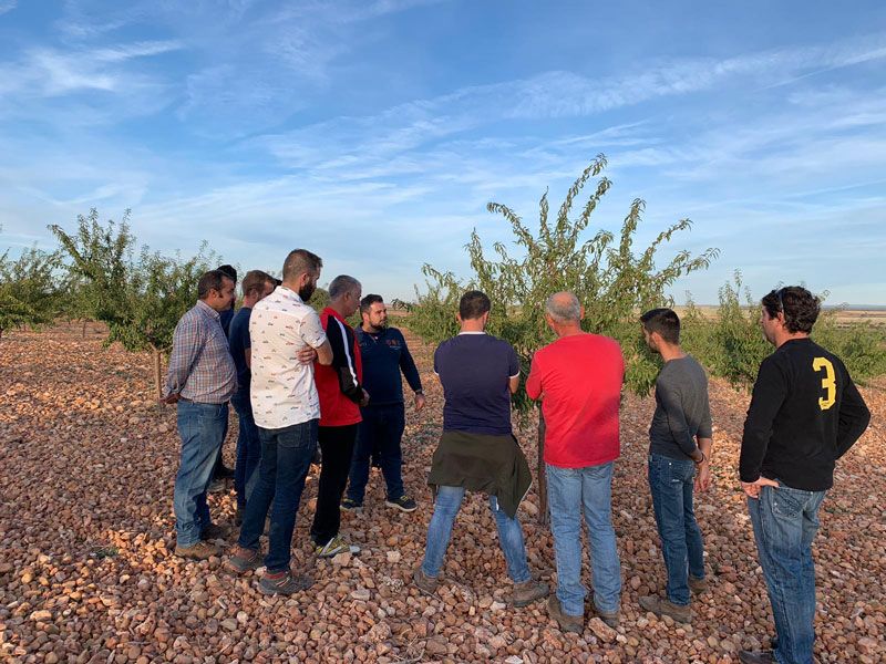 Jornadas formativas en campo sobre el cultivo del almendro y el pistacho