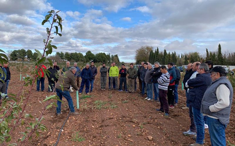 Taller de poda del almendro en Castilla La Mancha